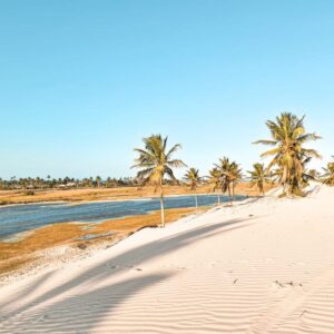 20200915_164908-1024x768