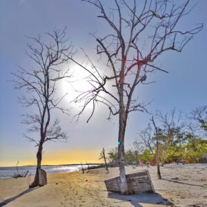 WhatsApp Image 2023-01-04 at 19.50.39 (1)