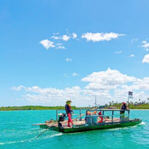 WhatsApp Image 2023-01-04 at 19.50.41