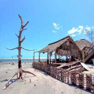 WhatsApp Image 2023-01-04 at 19.51.09 (1)