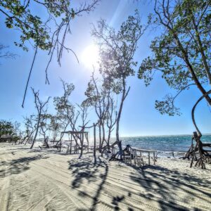 WhatsApp Image 2023-01-04 at 20.26.31