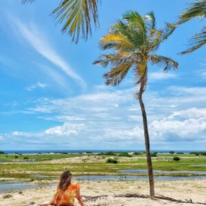 WhatsApp Image 2023-01-04 at 20.26.33 (3)